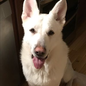 Meet your Posher, Diane